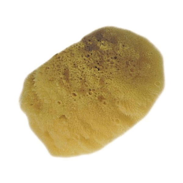 اسفنج طبیعی ماکو