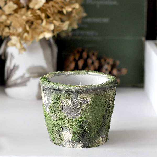 رنگ-خزه-کادنس2