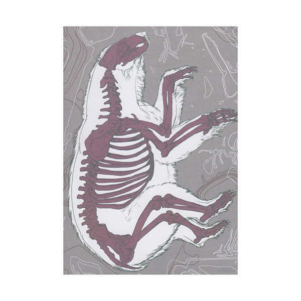 دفتر طراحی پُلار(پالتویی- سری L)