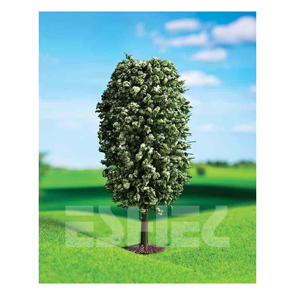 کاج توپی اشل