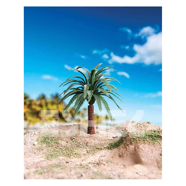 درختچه-نخل-اشل-1