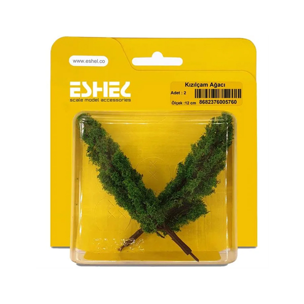 کاج-ایتالیاییاشل