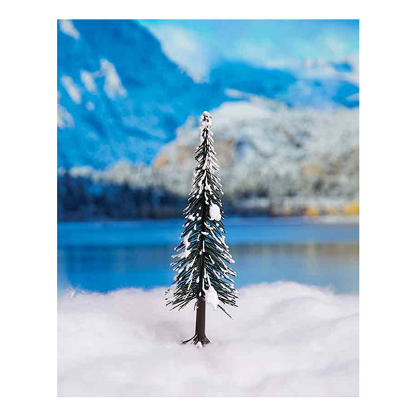 کاج سکویا زمستانی اشل