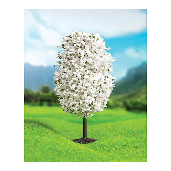 کاج توپی سفید اشل