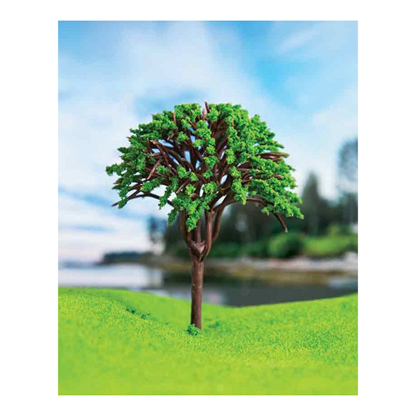 درخت قارچی اشل