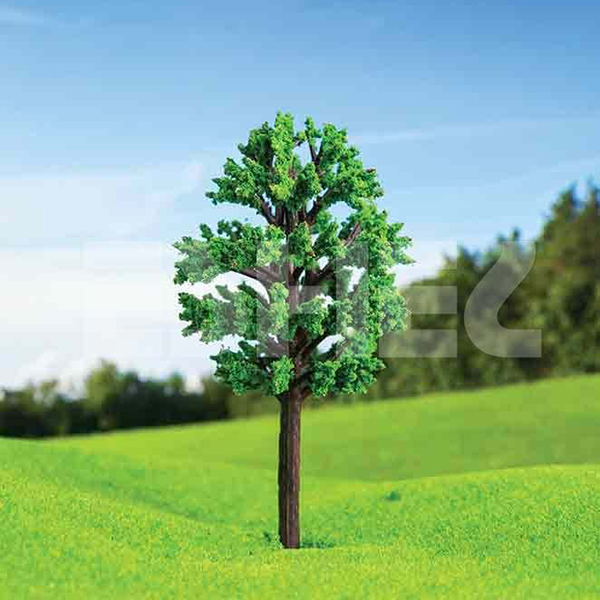 درخت آزاد اشل