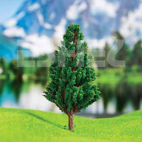 درخت سرو کوهی اشل