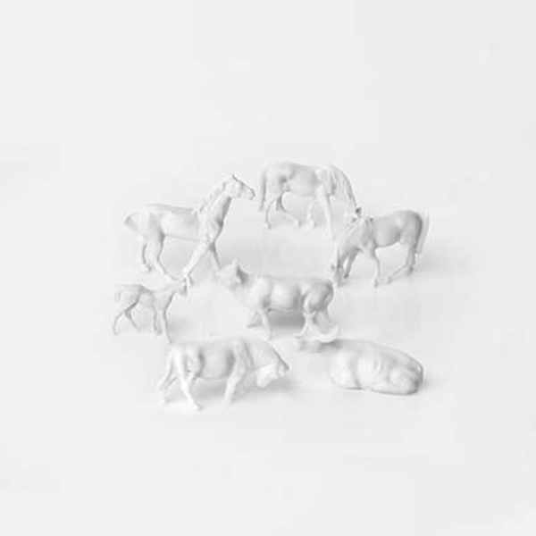 حیوانات اهلی سفید اشل