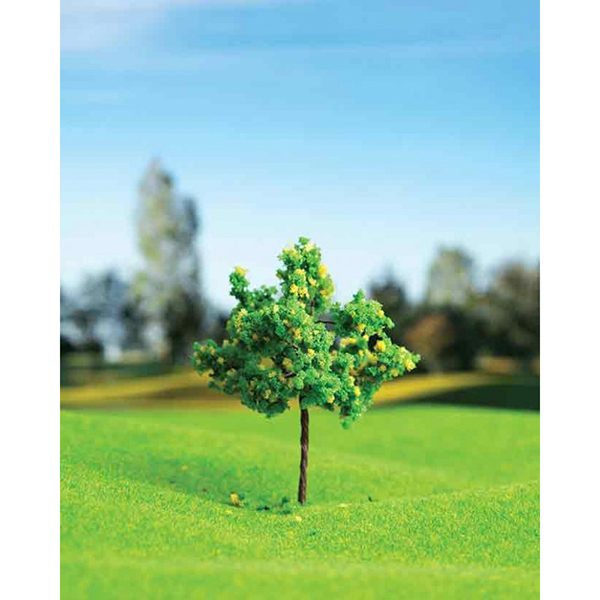 درخت میوه اشل