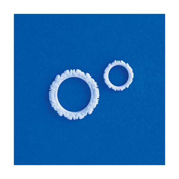 قاب عکس دایره اشل