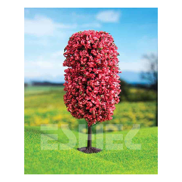 کاج توپی قرمز اشل