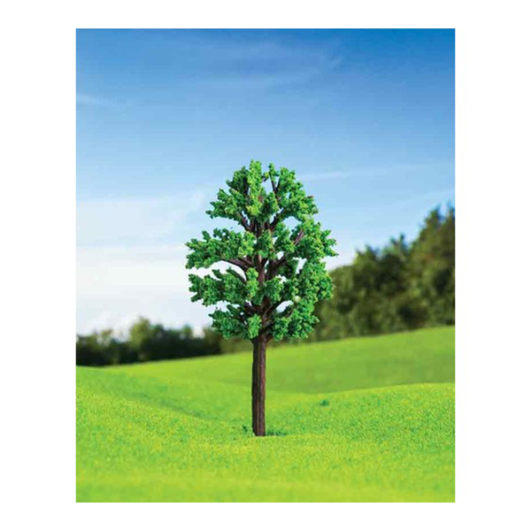 درخت نارون اشل