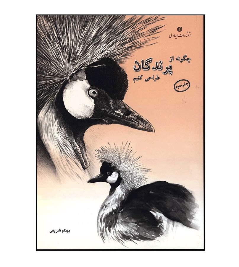 چگونه از پرندگان طراحی کنیم