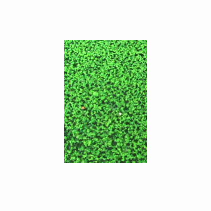 چمن ورقی نارگون