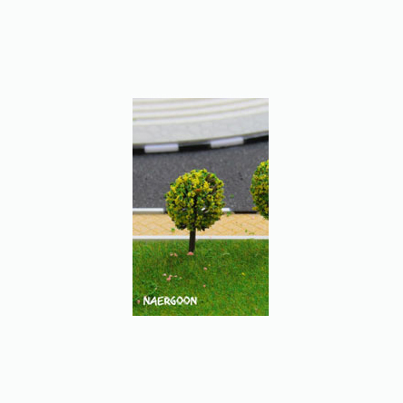 درخت نارگون