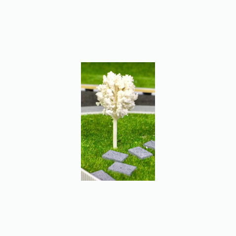 درخت نارگون