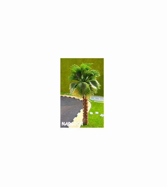 درخت نارگون