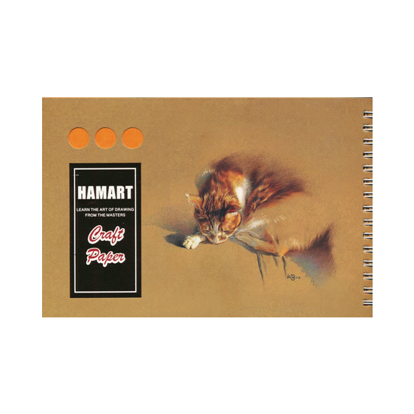 دفتر کرافت هم آرت (110 گرم)