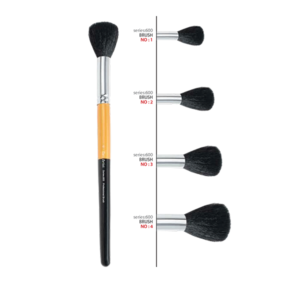 قلمو محو کن سرگرد پارس آرتیست 600