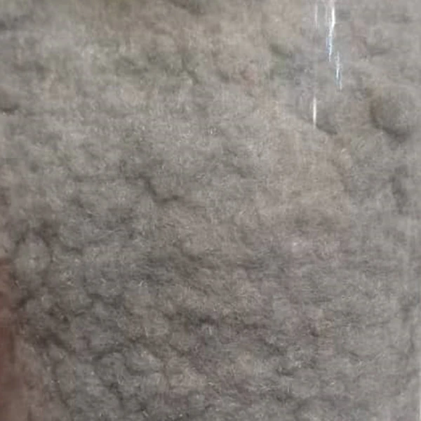 طوسی.jpg