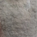طوسی.jpg