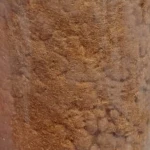 شتری.jpg
