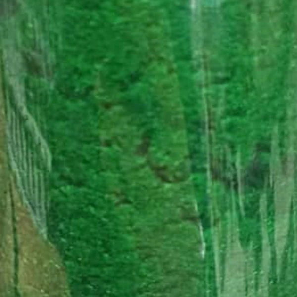 سبز سیدی.jpg