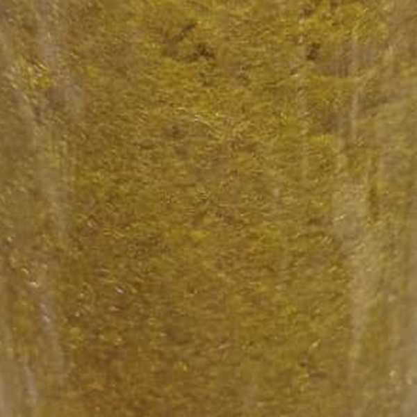 شتری روشن.jpg