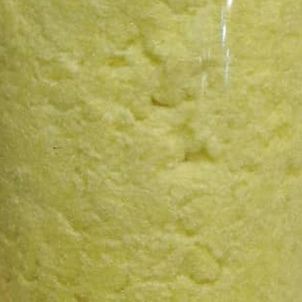 کرم طلایی.jpg