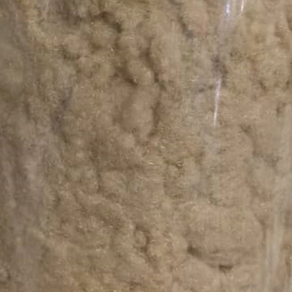بژ.jpg