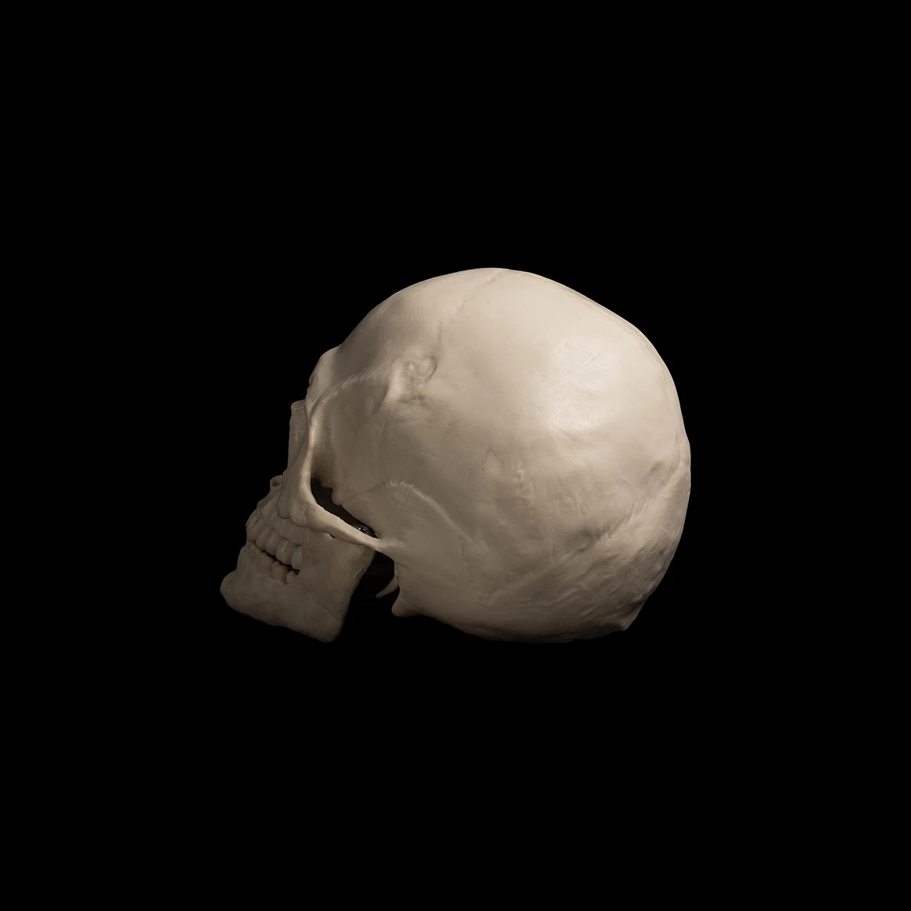 121.jpg
