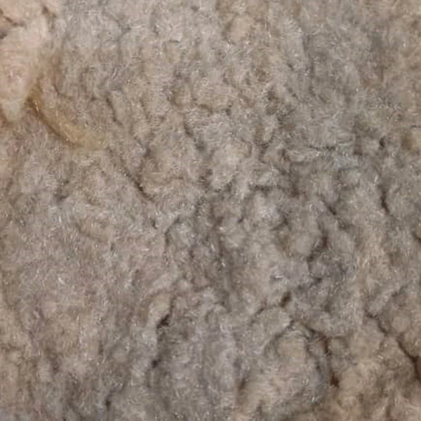بژ روشن.jpg