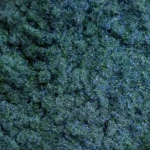 کله غازی.jpg