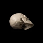 120.jpg