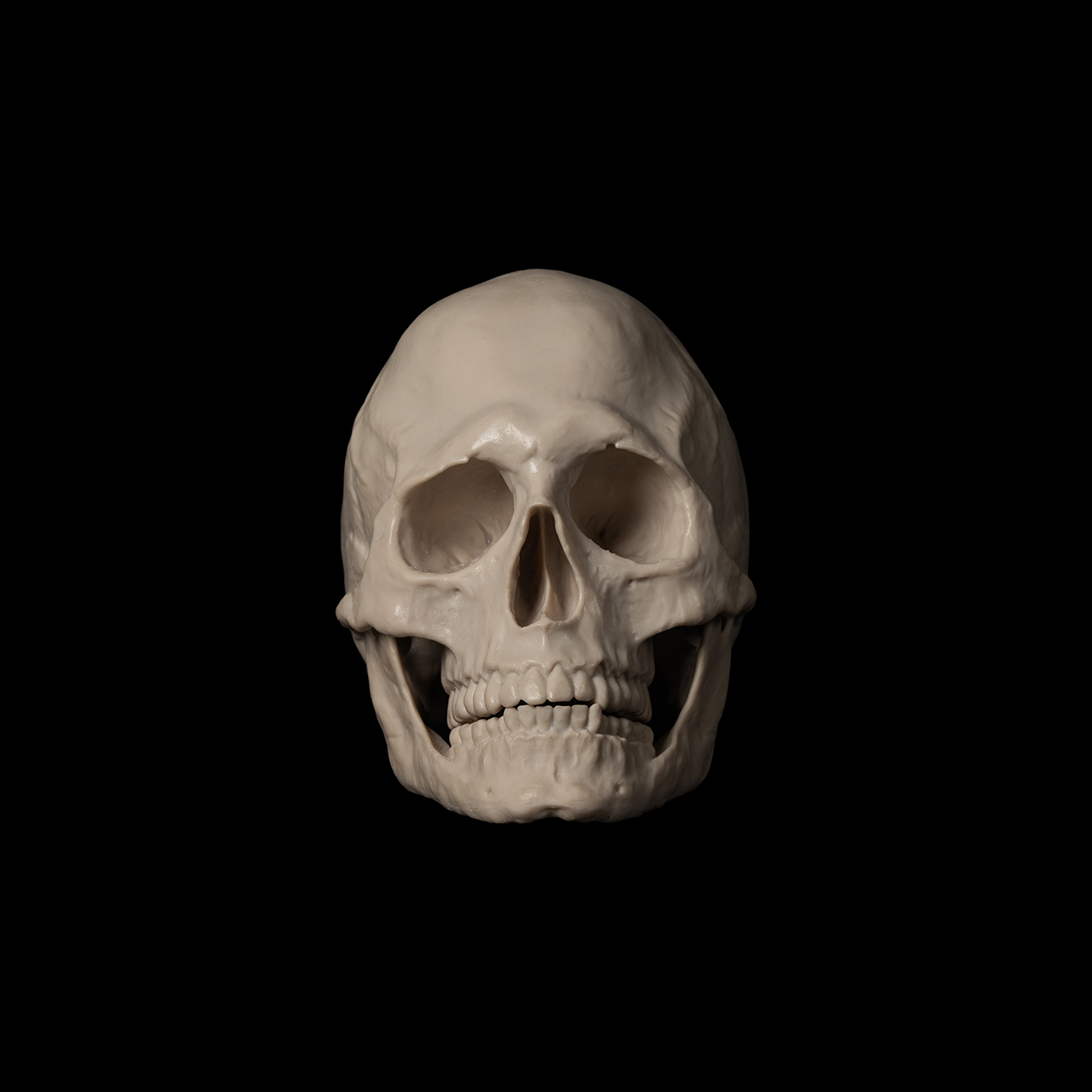 مولاژ جمجمه S1