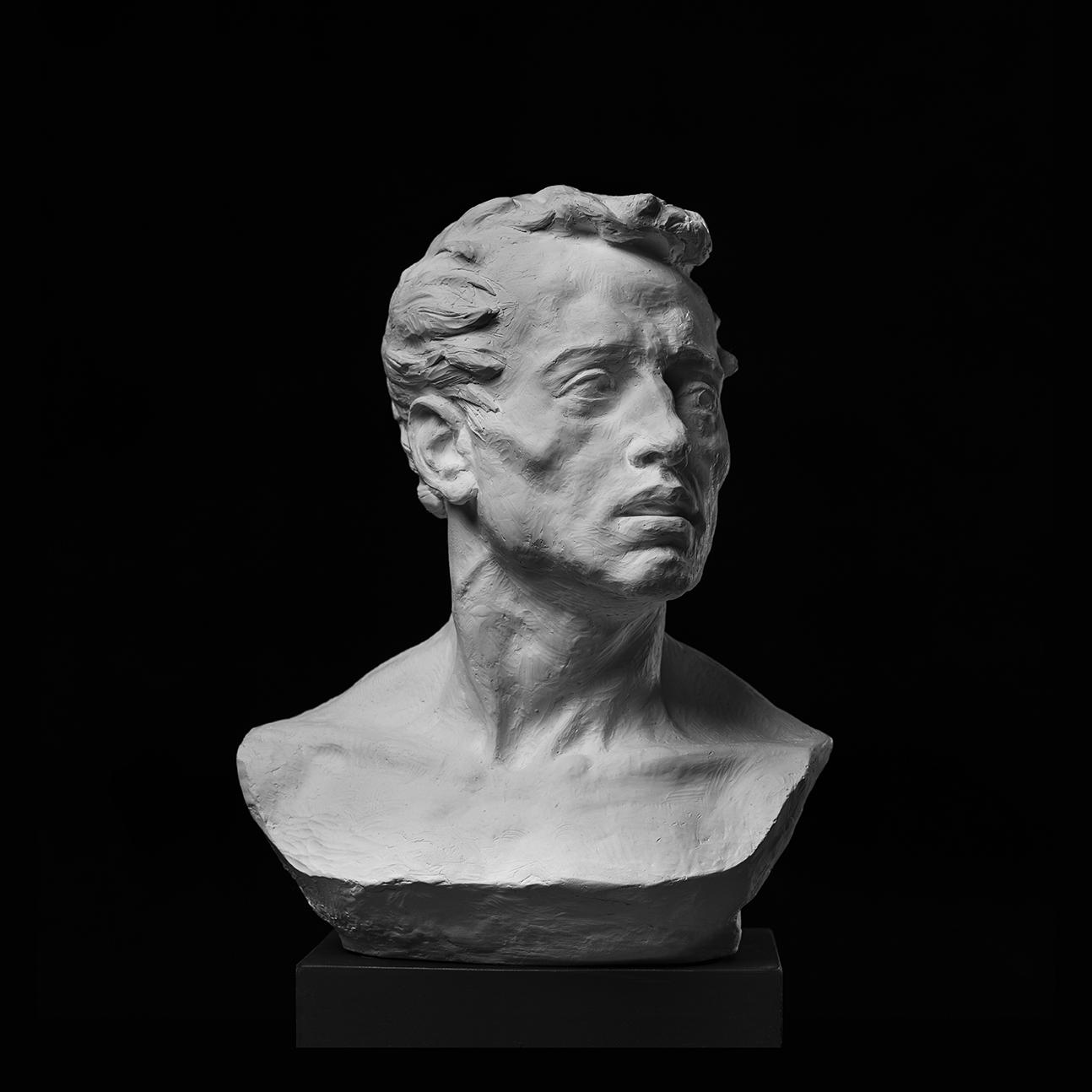 مولاژ پرتره P1