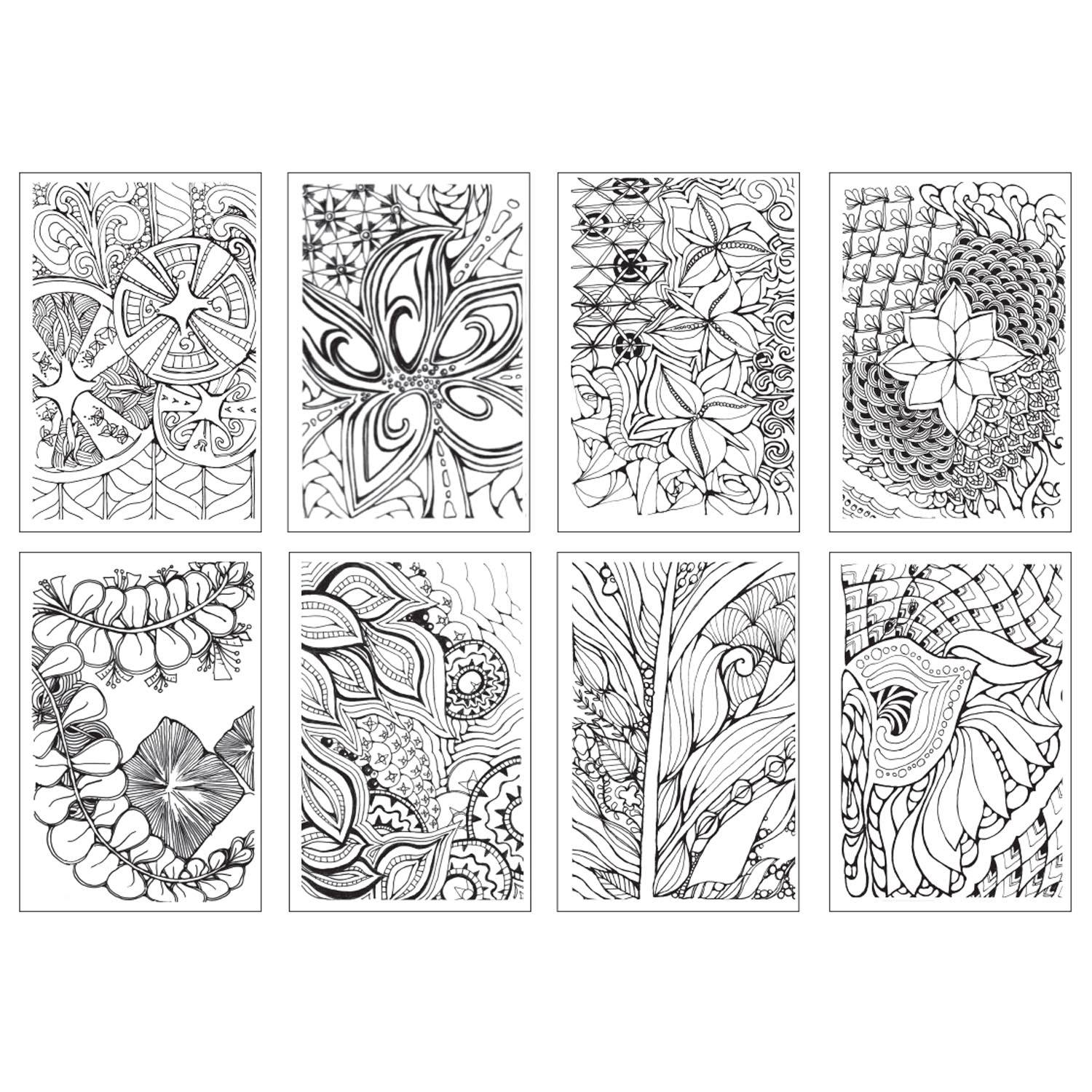 ba8d9dd35268014c09031a8c587cf84e