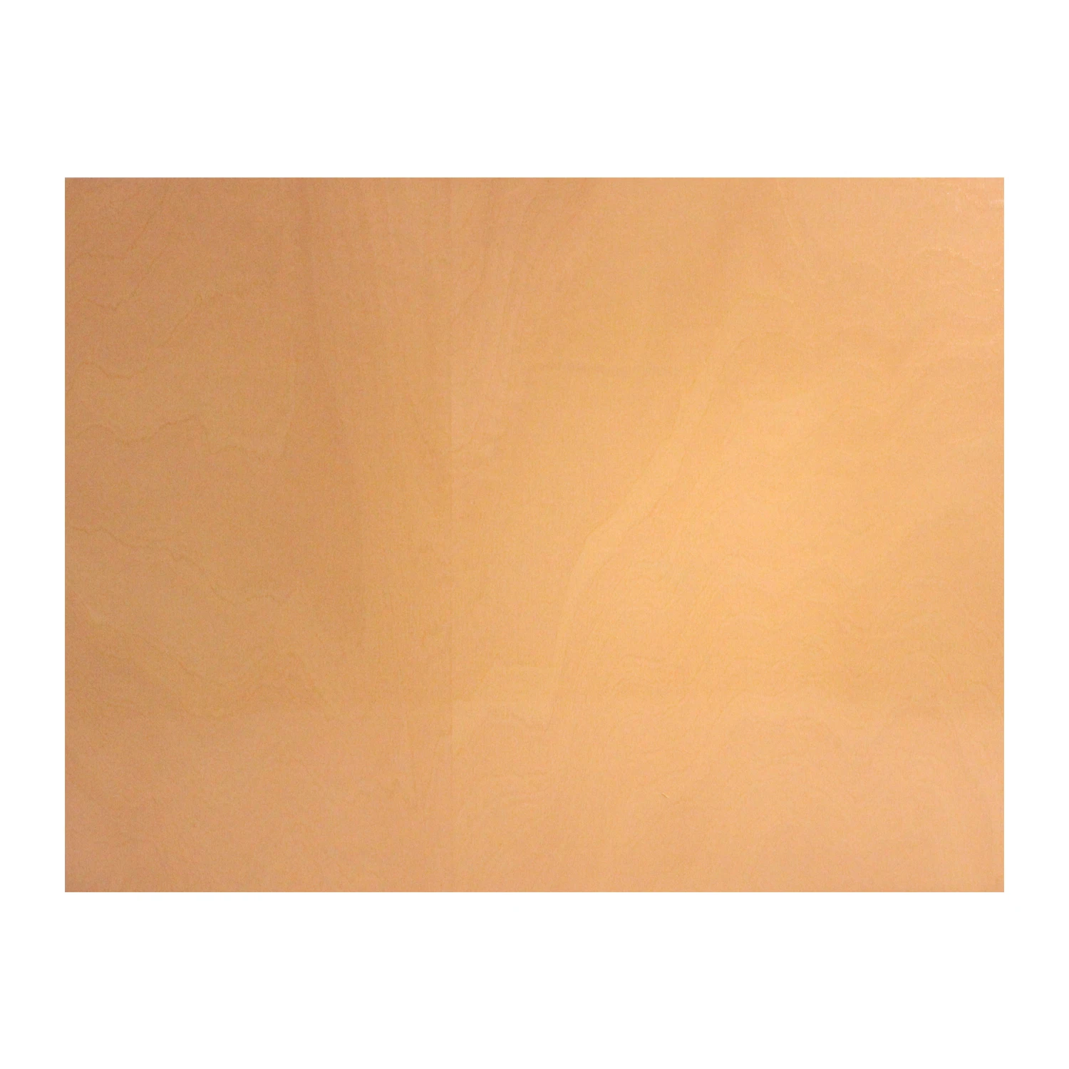 b4b02e73348a61103e4afdc188914b02